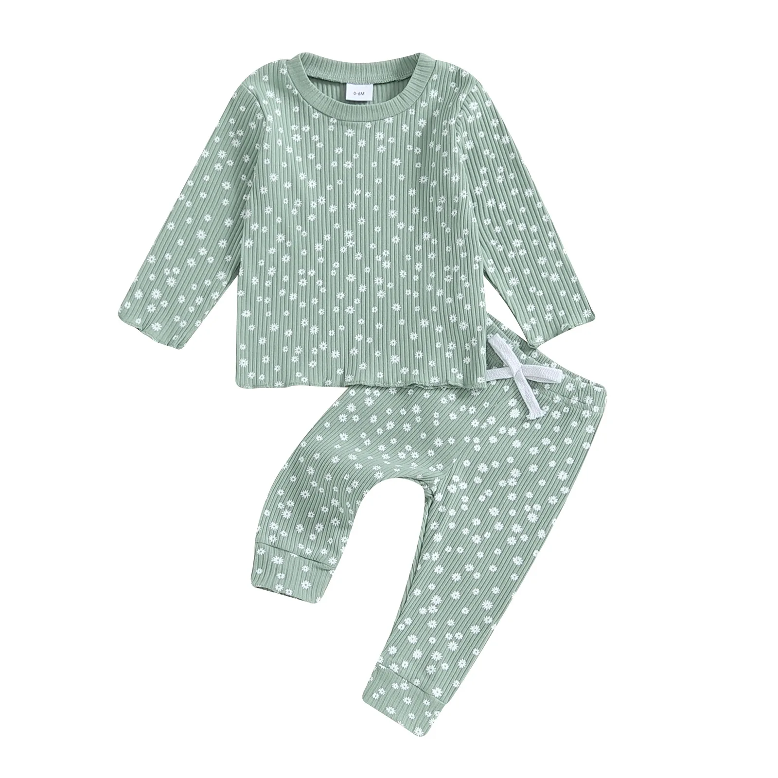 Winter Daisy Set | Sage