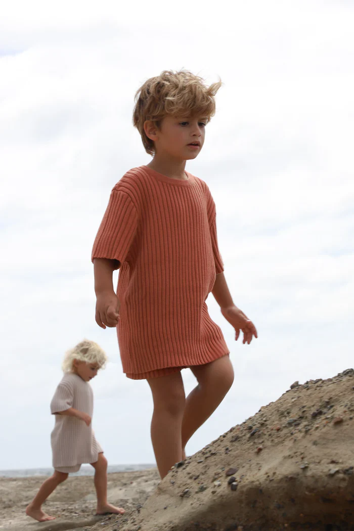 All Fenix - Mini Rib Knit Tee | Ginger - Image 2