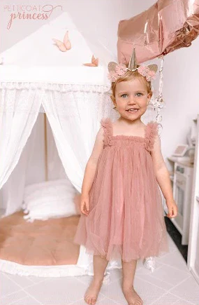 Petticoat Princess - Dusty Pink Butterfly Dress - Image 2