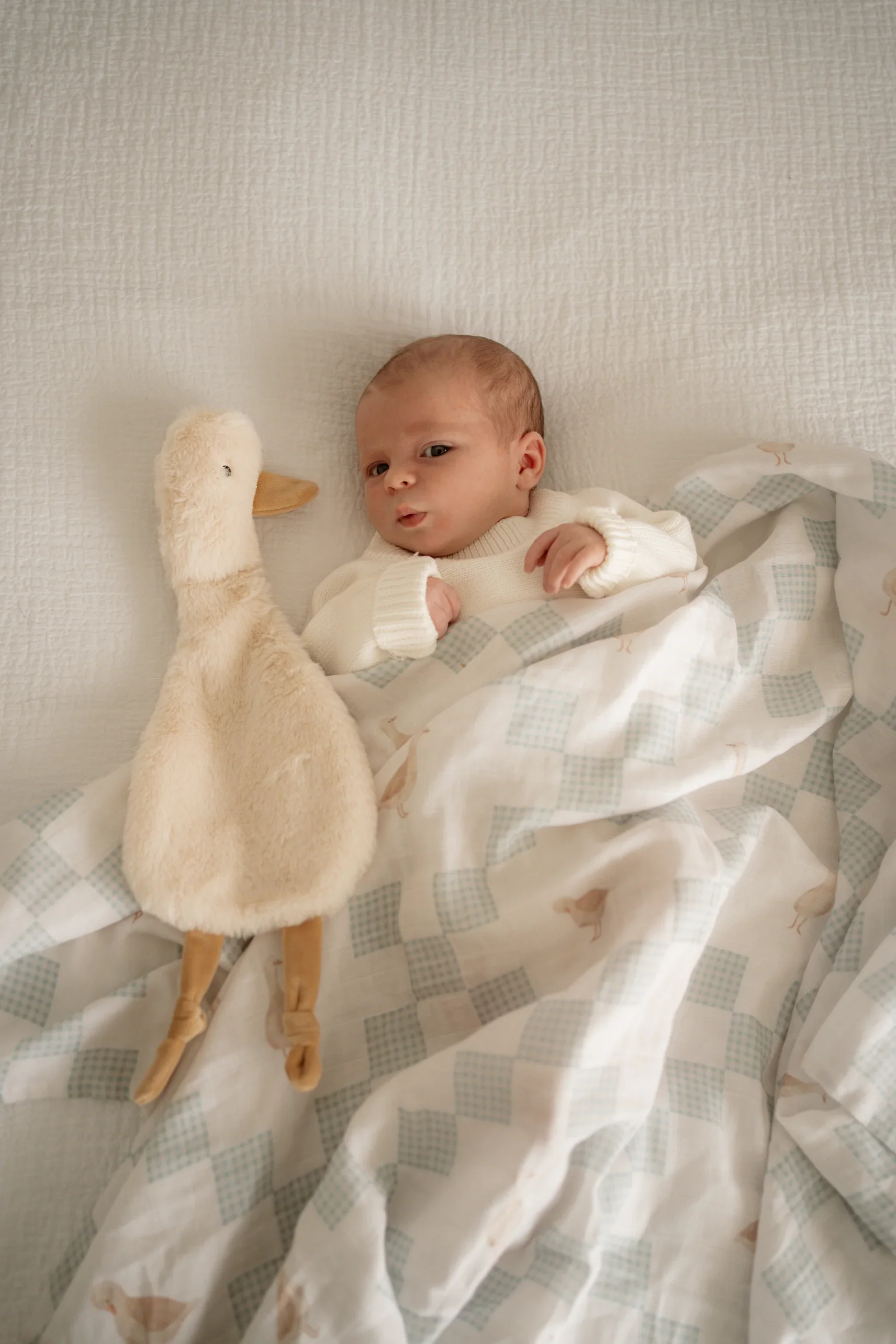 Pop Ya Tot - Comforter Toy | Waddles The Goose - Image 3