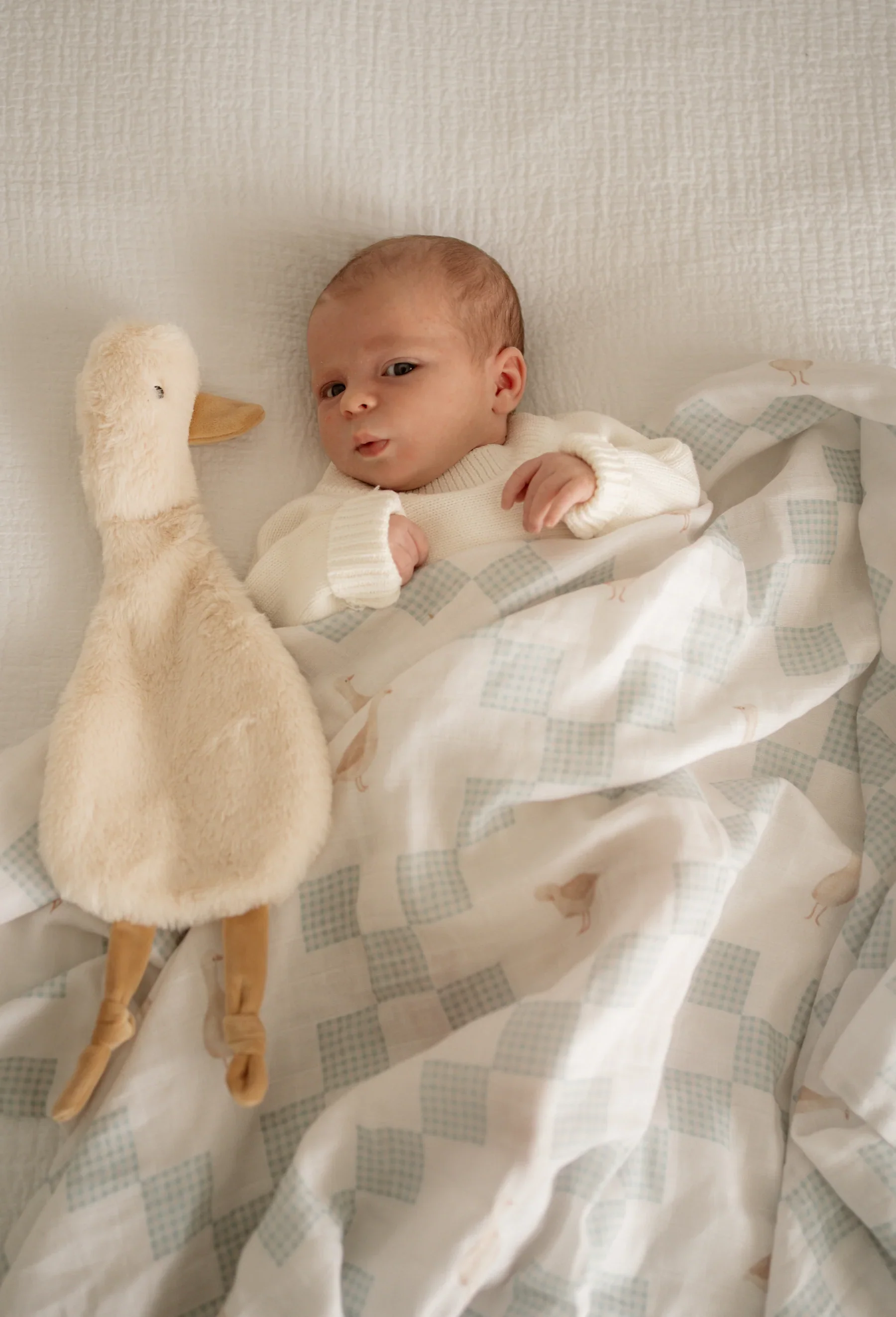 Pop Ya Tot - Swaddle | Goosey Gander - Image 4